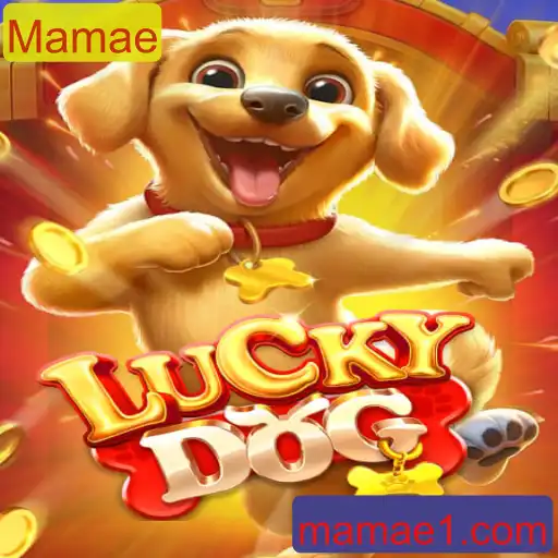 Descubra Tudo Sobre o Jogo LuckyDog e Como Ele Está Conquistando Todos!
